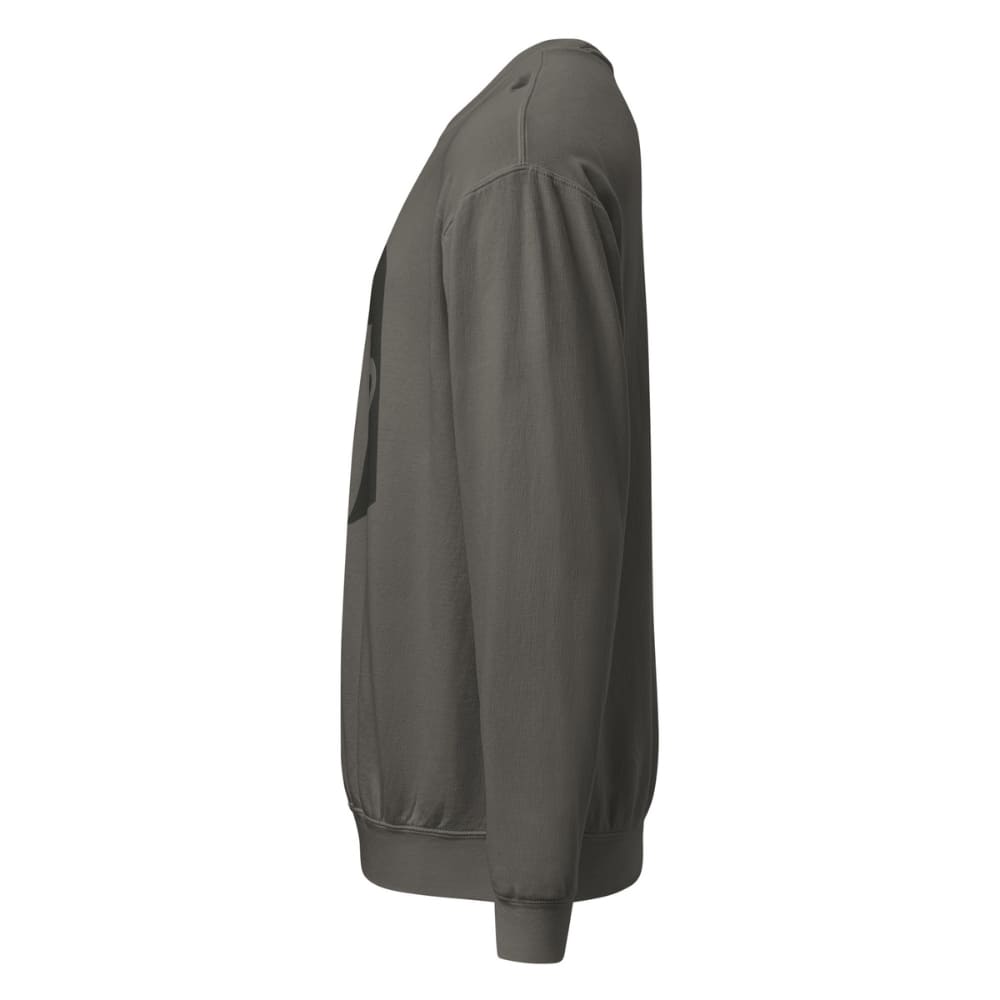 Gray sweatshirt with a logo on the sleeve against a white background