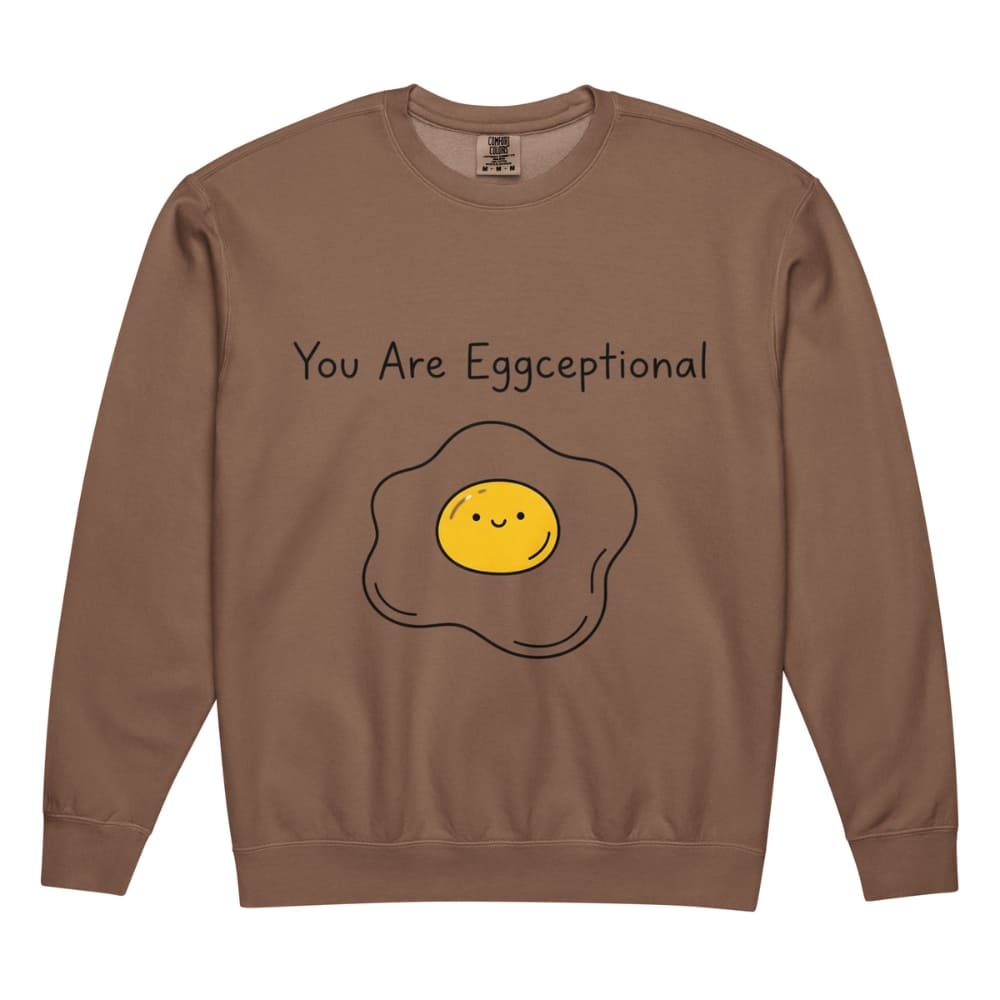 Brown sweatshirt with a smiley face egg graphic and text 'You Are Eggceptional' on a white background