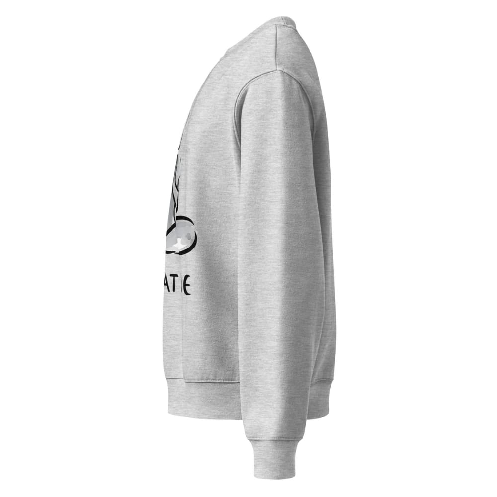 Gray hoodie with a logo and text on the sleeve against a white background
