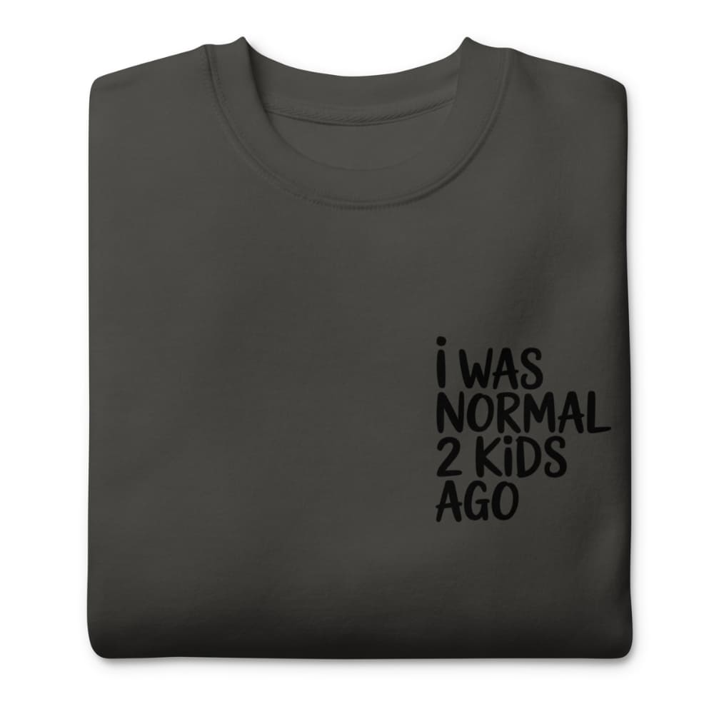 Dark gray sweatshirt with text 'I WAS NORMAL 2 KIDS AGO' on a white background