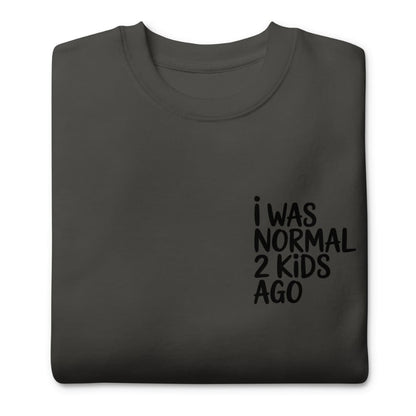 Dark gray sweatshirt with text 'I WAS NORMAL 2 KIDS AGO' on a white background