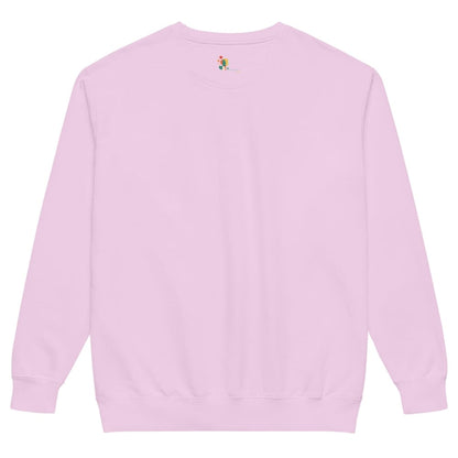 Light pink sweatshirt with a small colorful graphic on the back against a white background