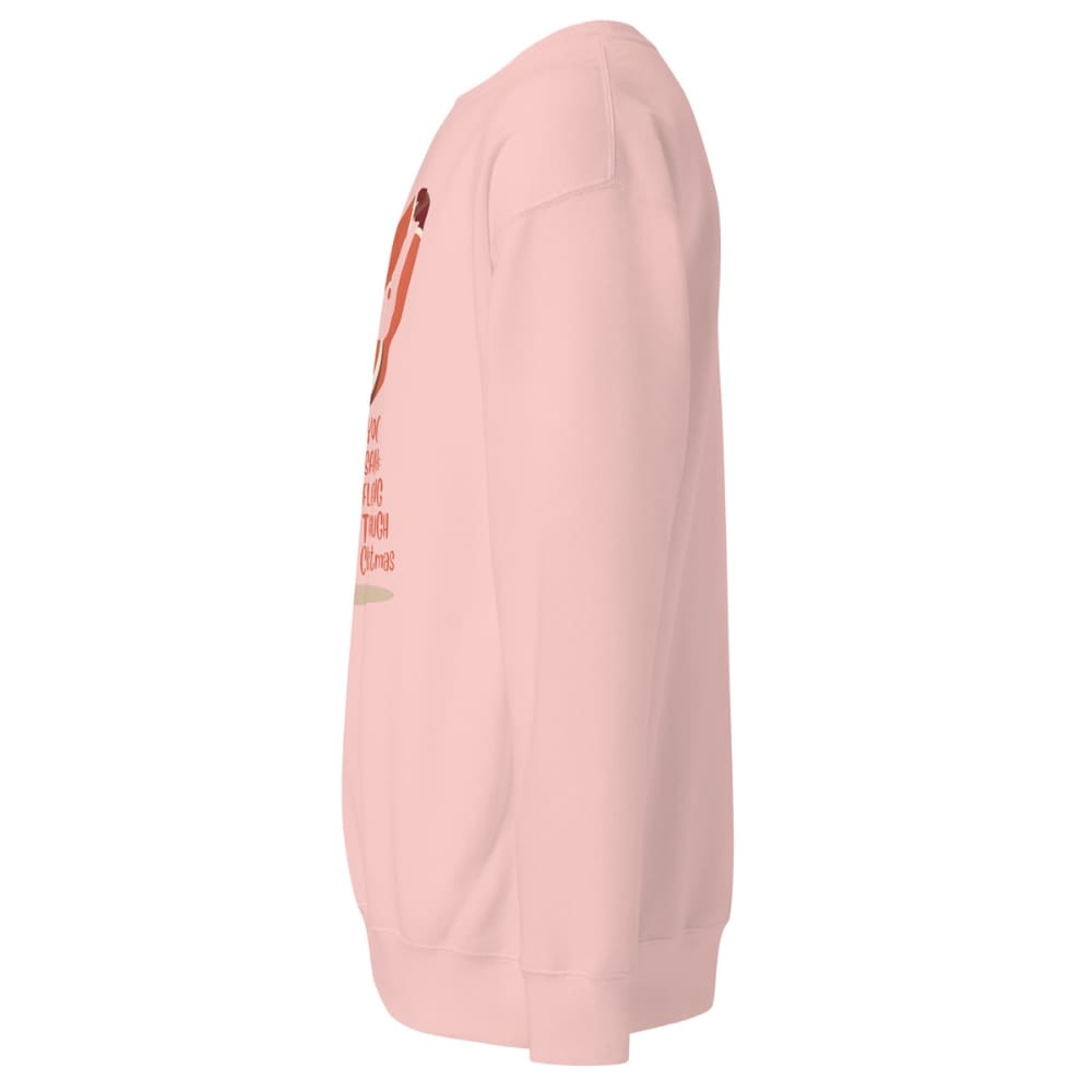 Pink hoodie with text on a white background