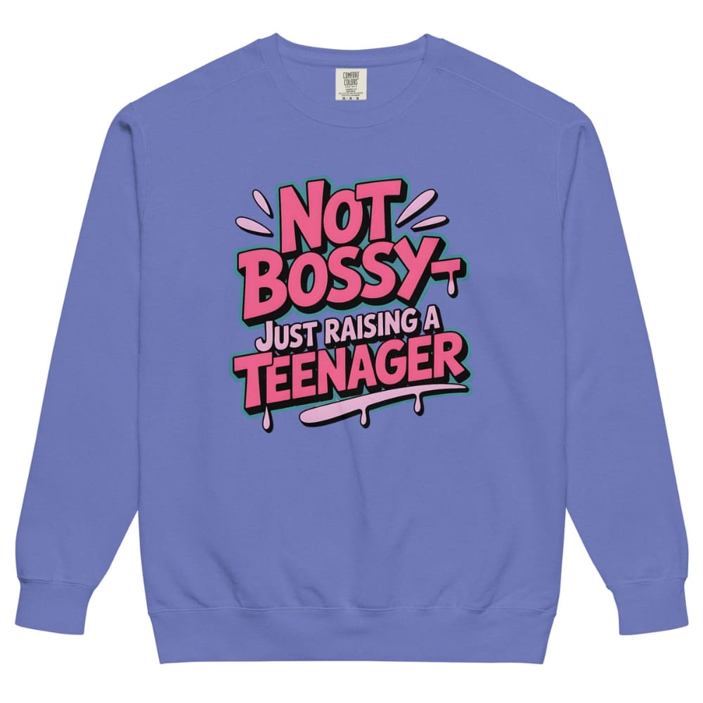 Blue sweatshirt with 'Not Bossy Just Raising a Teenager' text on a white background
